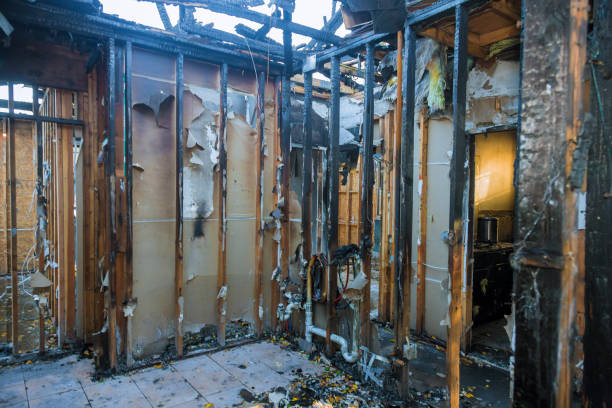 Professional Fire Damage Removal technician working in Grandview, TX